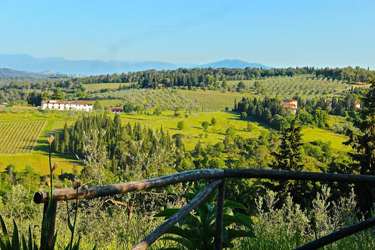 Tuscany Art Retreat June 2025