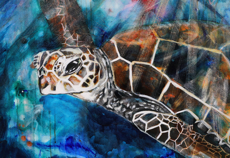 Spirit Turtle Fine Art Print